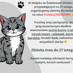 Ogłoszenie KOTKOWO.