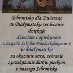 schronisko (2).jpg