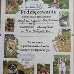 Podziękowanie za zebrane dary dla schroniska